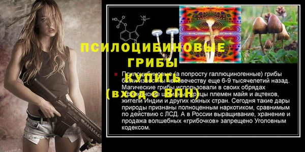 apvp Козельск