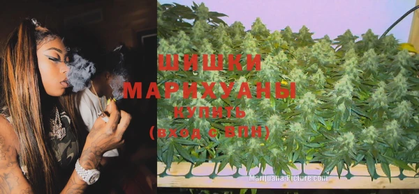 apvp Козельск