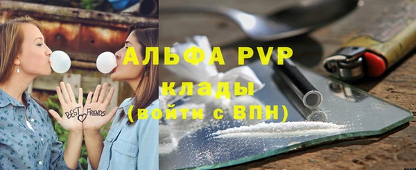 прущие крисы Корсаков