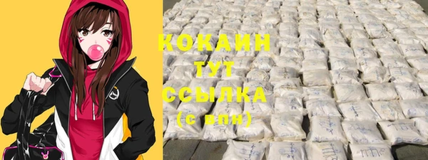спайс Касимов