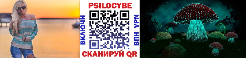 Купить  Кропоткин  Псилоцибиновые грибы прущие грибы 